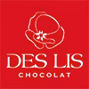 logo Ds Lis Chocolats
